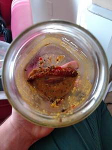 remnants of soup in a jar